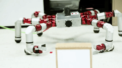 Carnegie Mellon’s snake robot
