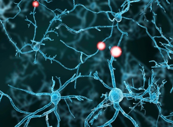 visualization of a neuron in the blue brain project