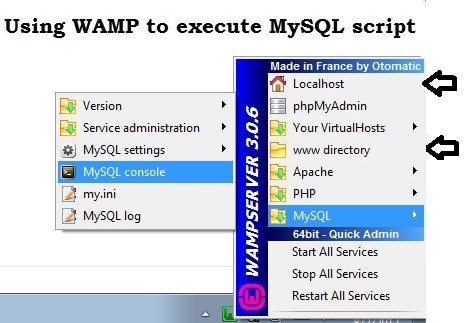How to use WAMP server to execute your MySQL script
