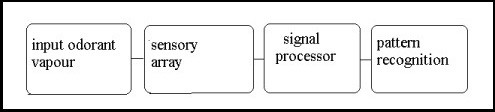 Functional components of the Electronic Nose