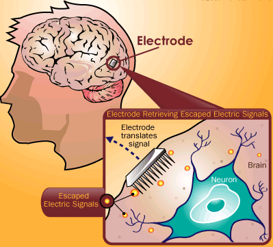 Brain Computer Interface