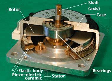 ultrasonic motor